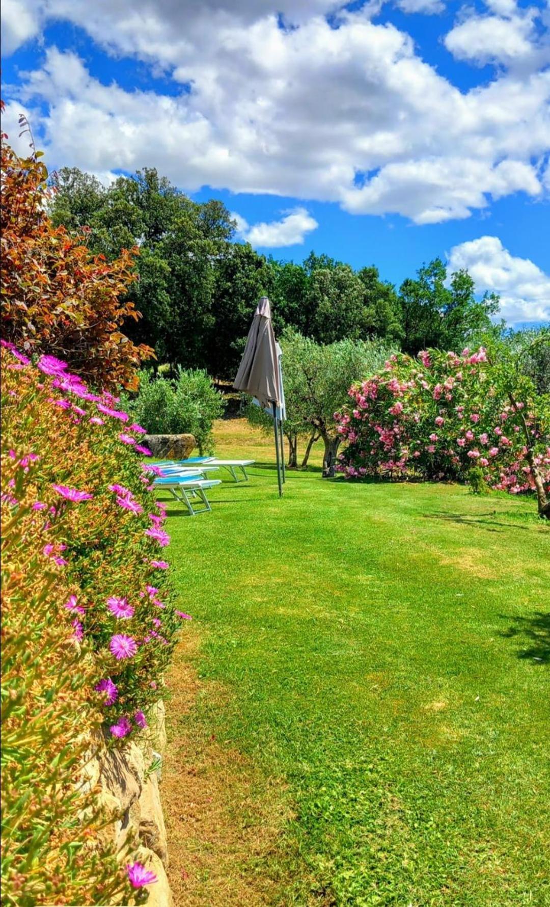 Casolare Il Moro Villa Monte San Savino Exterior photo