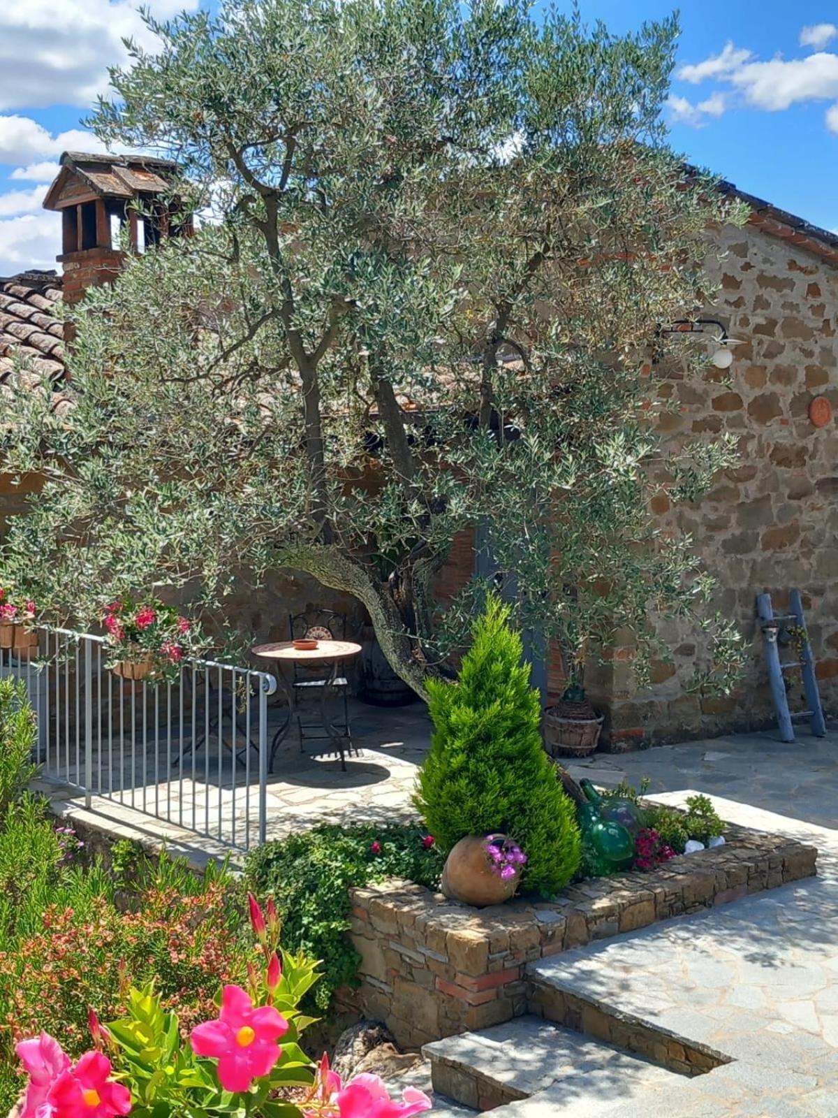 Casolare Il Moro Villa Monte San Savino Exterior photo